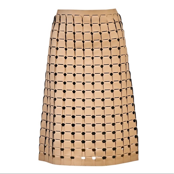 SOLD Bottega Veneta Vernis Satine Skirt - Picture 16 of 16